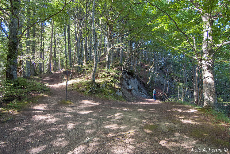 Passo della Bertesca