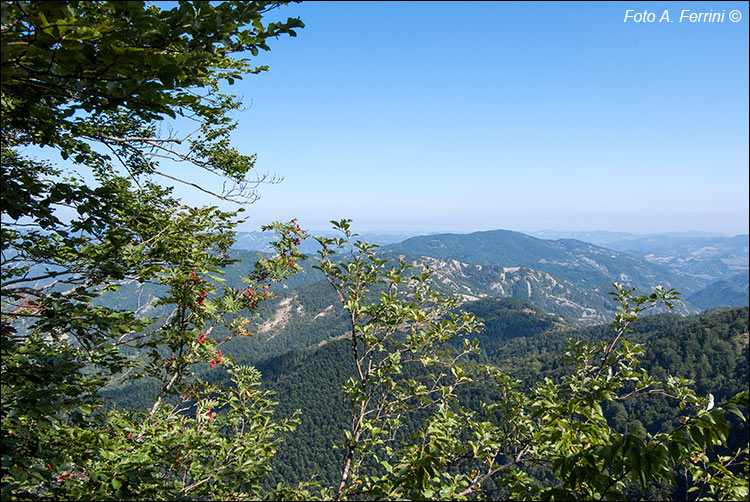 Panorama sulla Romagna 