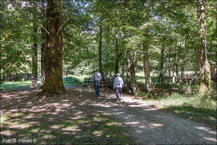 Foresta della Lama