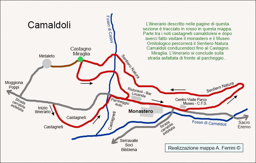 Mappa passeggiate a Camaldoli