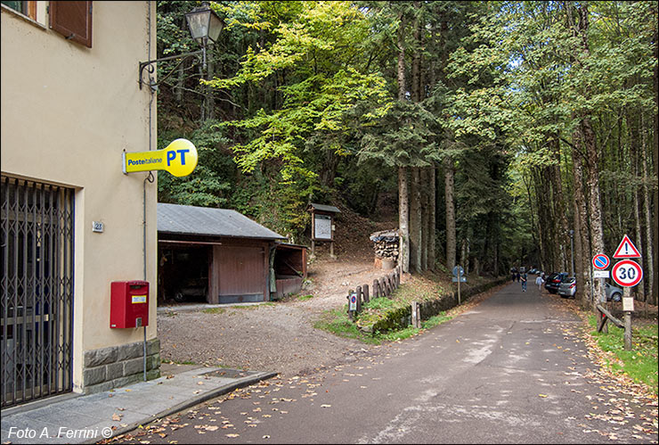 Centro Visita Parco Camaldoli