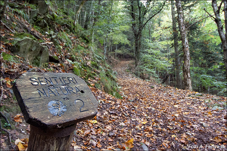 Sentieri Natura Parco