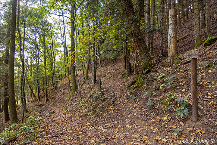 Sentiero Natura Camaldoli