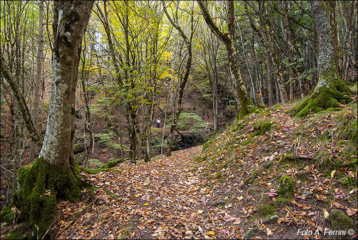 Sentiero Natura Camaldoli