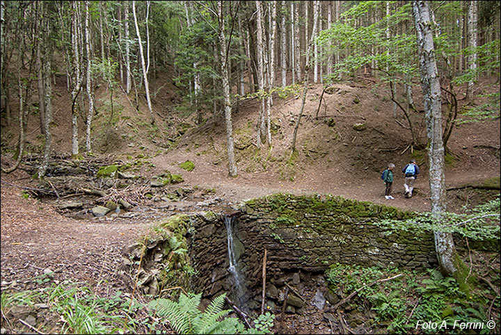 Sentiero Natura Camaldoli