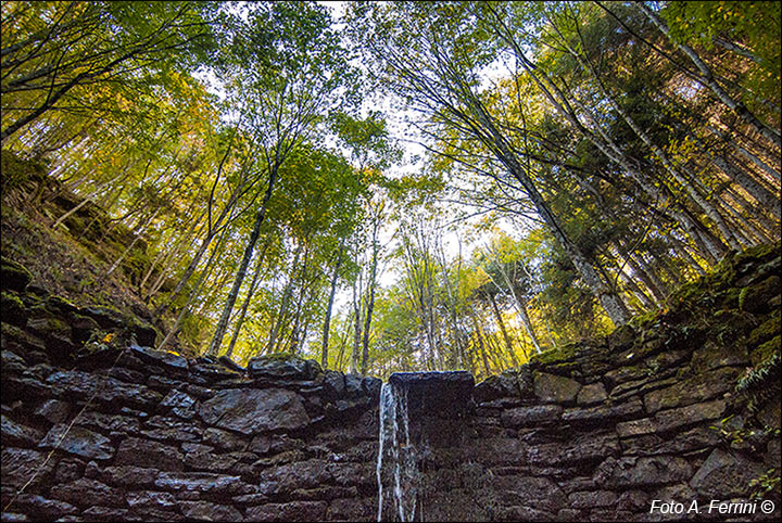 Sentiero Natura Camaldoli