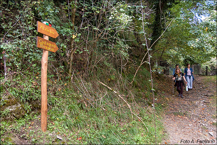 Sentiero Natura Camaldoli