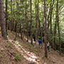 Sentiero Natura Camaldoli