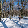 Giogana innevata