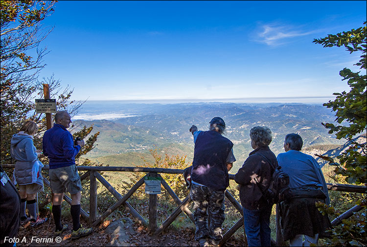 Monte Falco