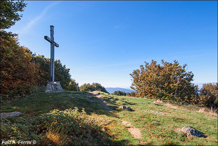 Monte Falterona