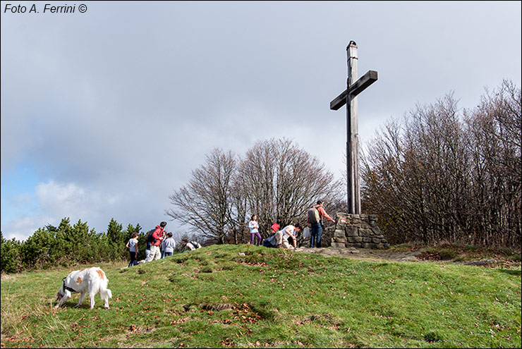 Monte Falterona