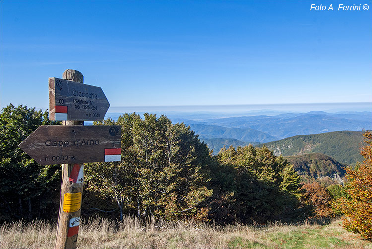 Panorami Monte Falterona.