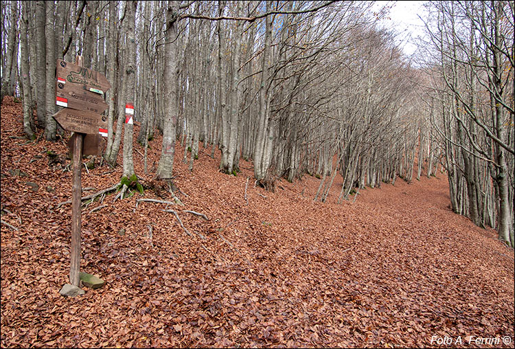 Percorsi per il Monte Falco