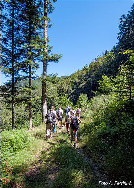 Passeggiata alla sorgente dell'Arno