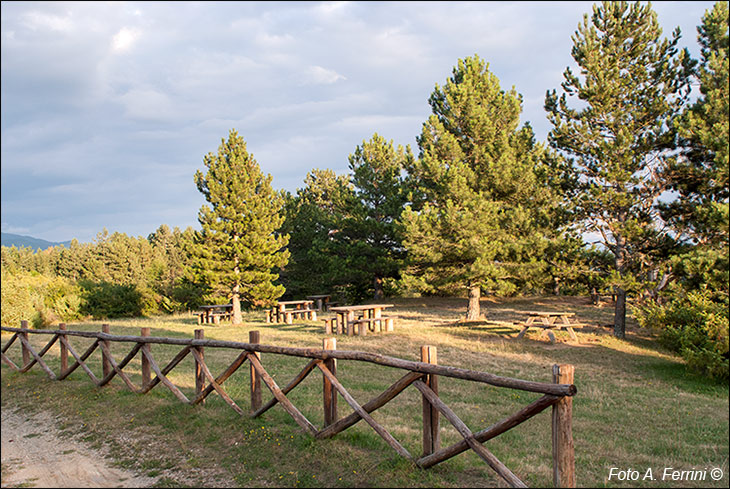 Pic-nic nelle Foreste Casentinesi