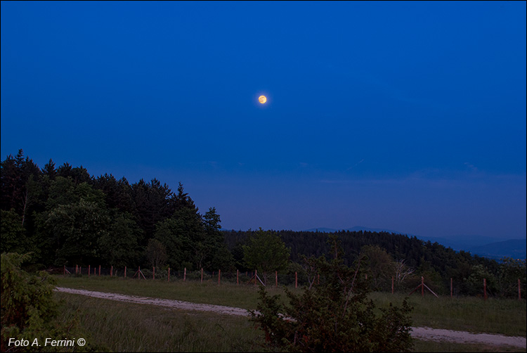 Luna piena a Montalto