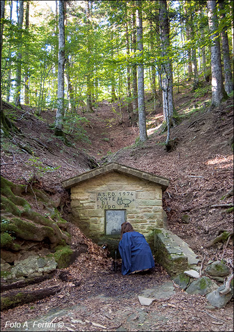 Fonte di Guido