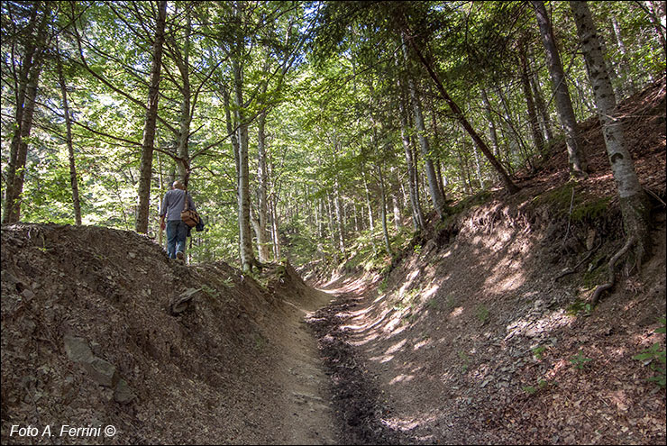 Sentiero Monte Penna