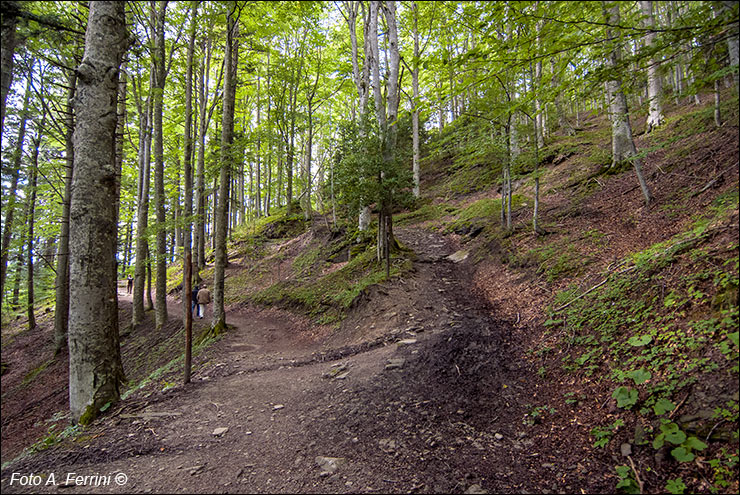 Sentiero Monte Penna