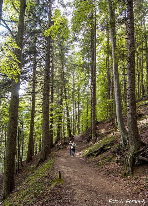 Sentiero Monte Penna