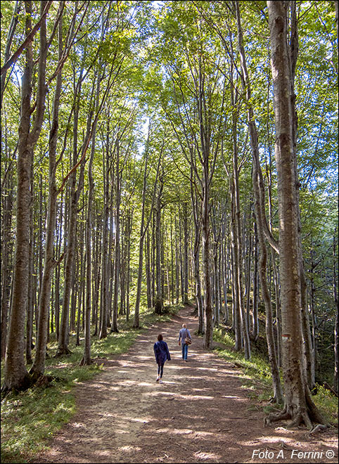 Sentiero Monte Penna