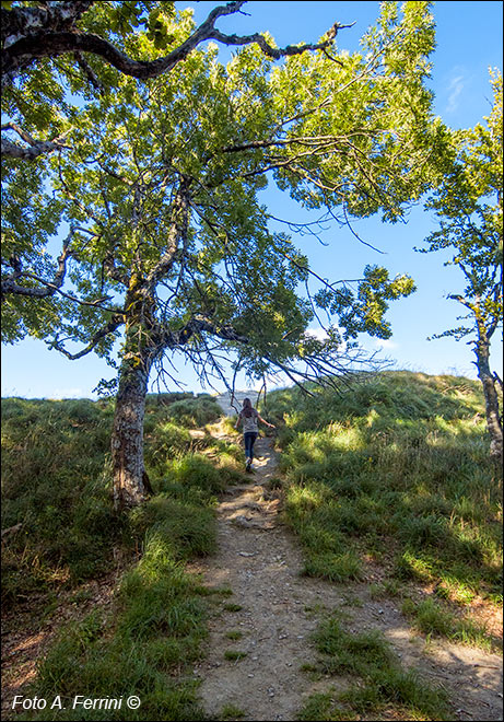 Cima Monte Penna