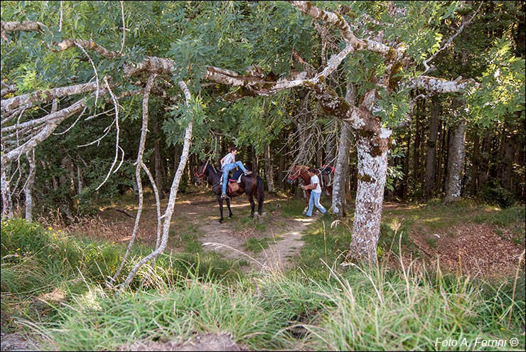 Turismo a cavallo