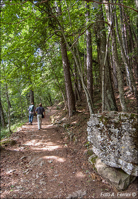 Trekking alla Verna