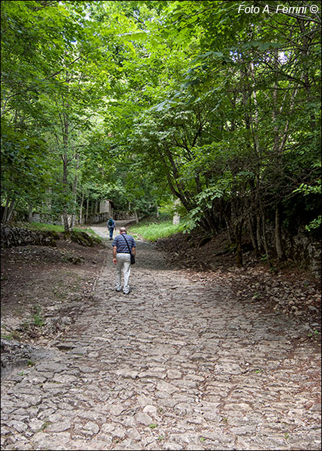 Strada Beccia Verna