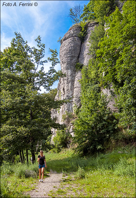 Passeggiate alla Verna