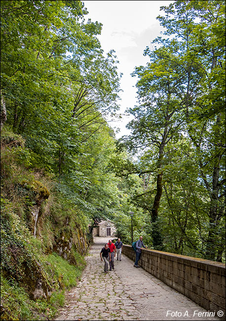 Strade per la Verna