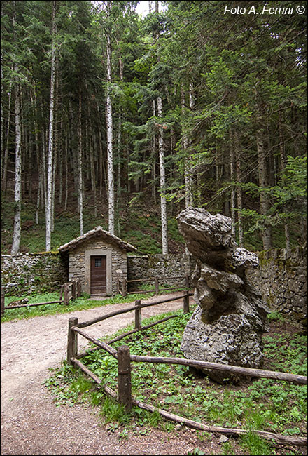 Passeggiate alla Verna