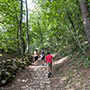 Strada selciata alla Verna