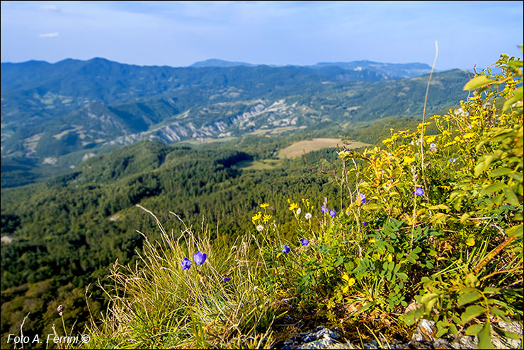 Fotografie di panorami