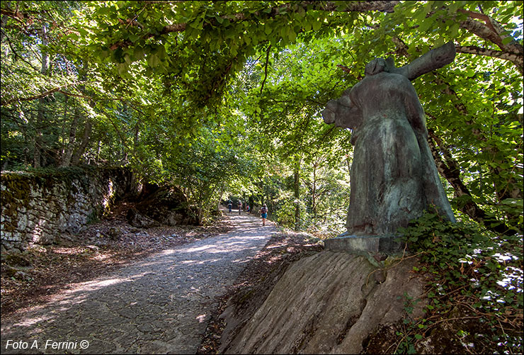 Strada Beccia Verna