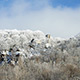 Il Monte della Verna