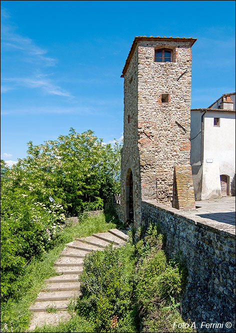 Laterina, aspetti del luogo