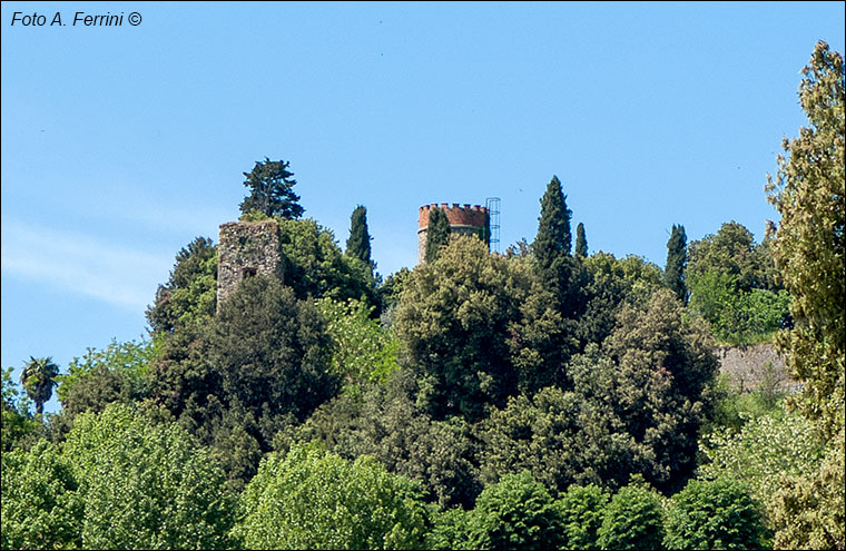 Laterina, aspetti del luogo