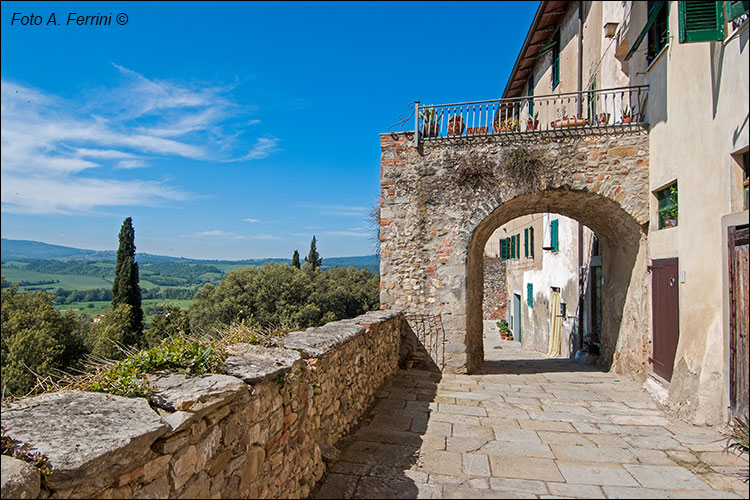 Laterina, aspetti del luogo