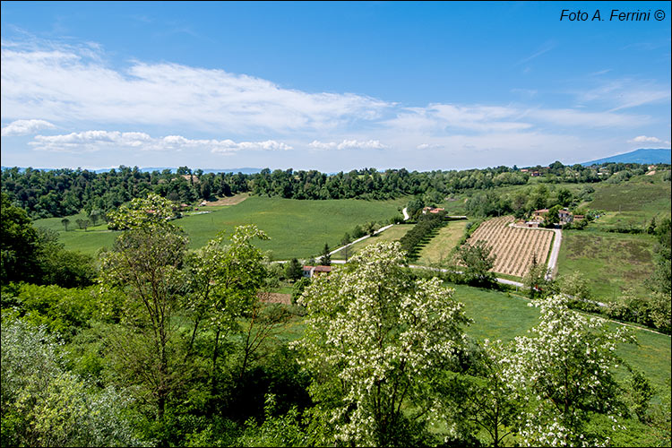 Laterina, aspetti del luogo