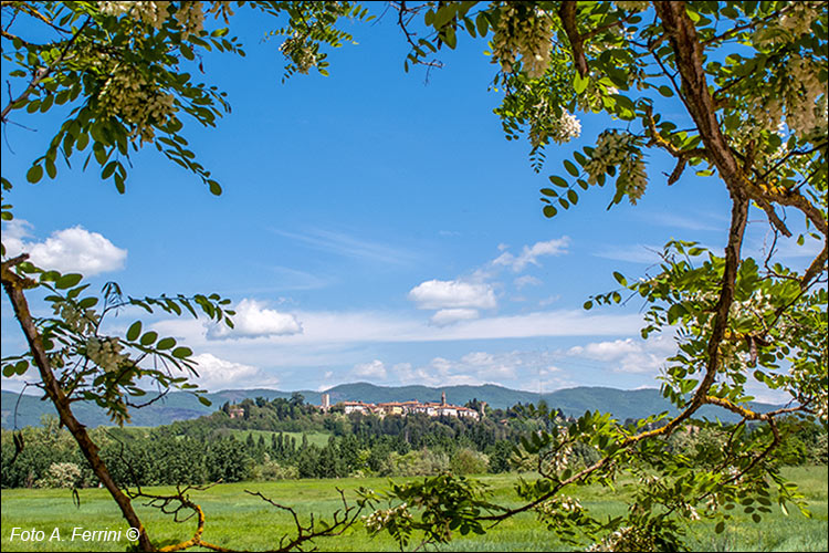 Laterina, aspetti del luogo