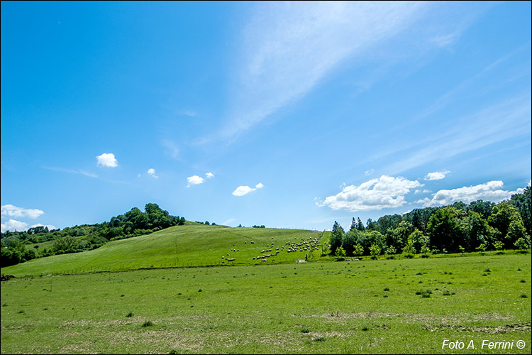 Laterina, aspetti del luogo