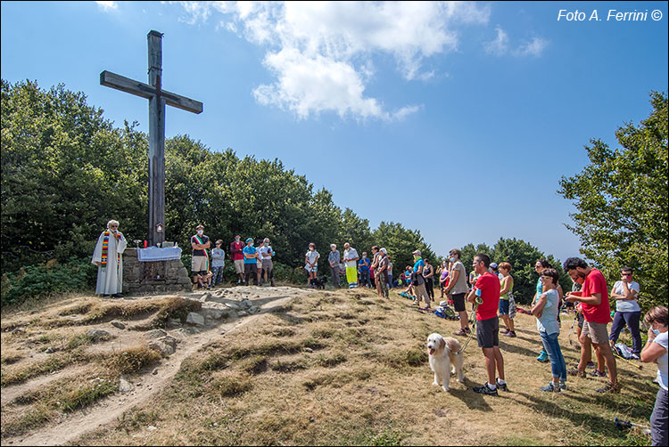 Monte Falterona