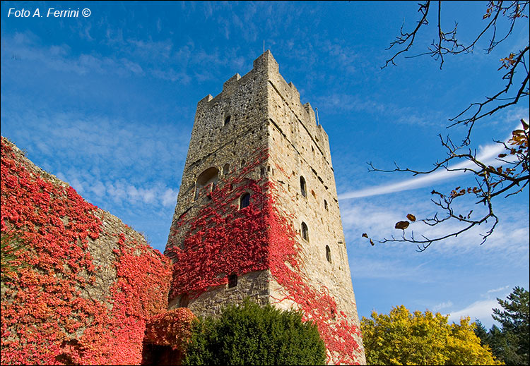 Luoghi di Dante, Castello di Porciano