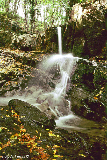 Ruscelli del Casentino