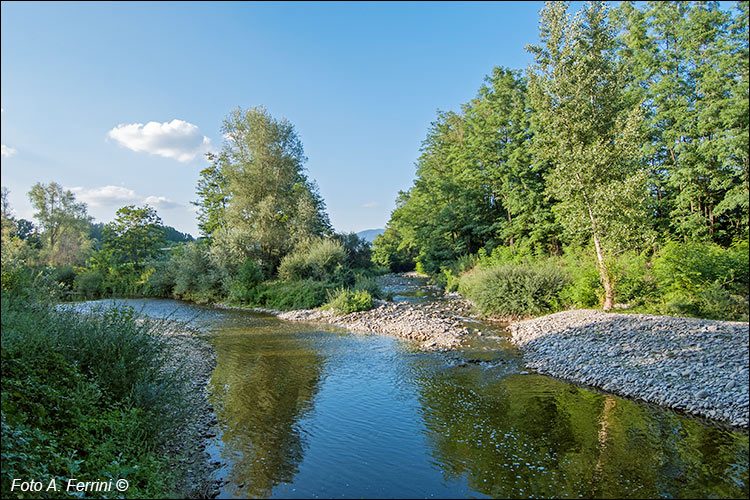 Torrente Archiano