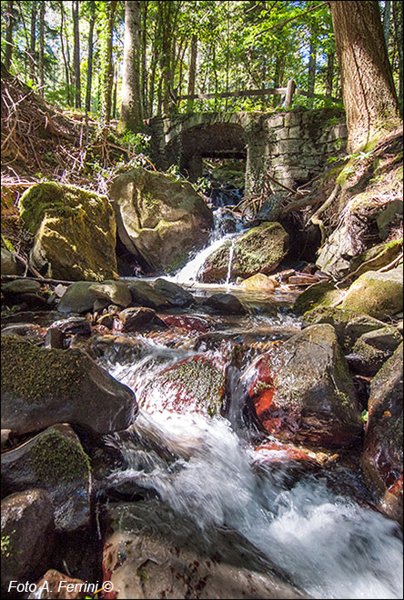 Fosso di Camaldoli, un tempo Torrente Archiano