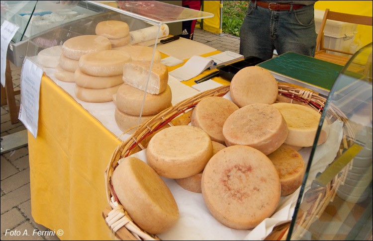 Pecorino del Casentino