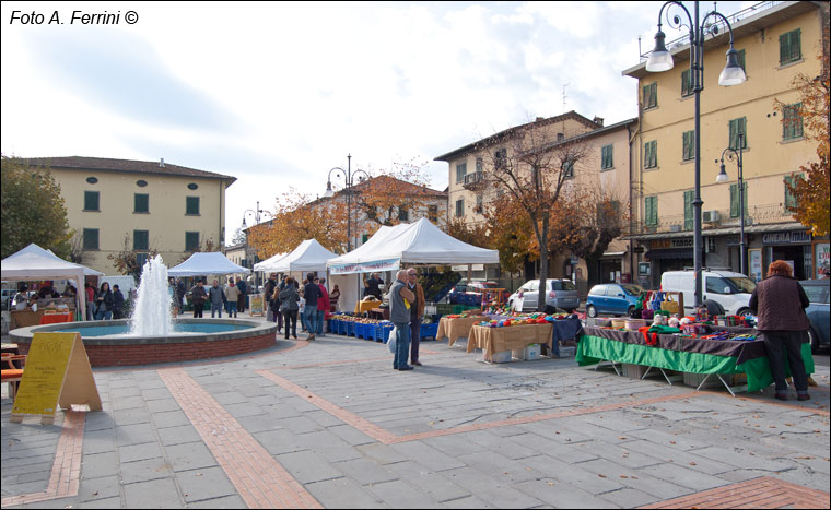 Mercatale Soci